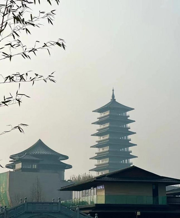 图片14.jpg