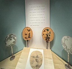 图片11.jpg 图片11.jpg